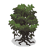Image of a tree